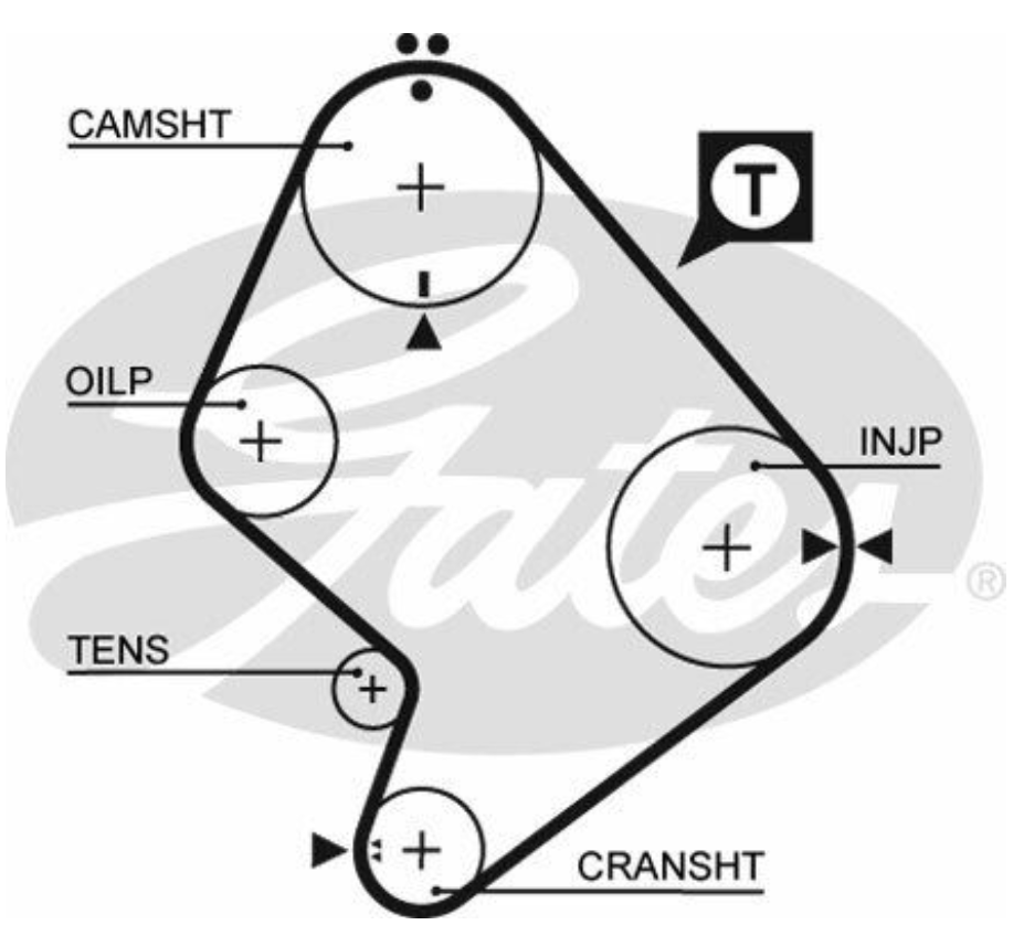 Diagrama Cadena Tiempo Toyota Hiace Modelo 2009 – Respuesta