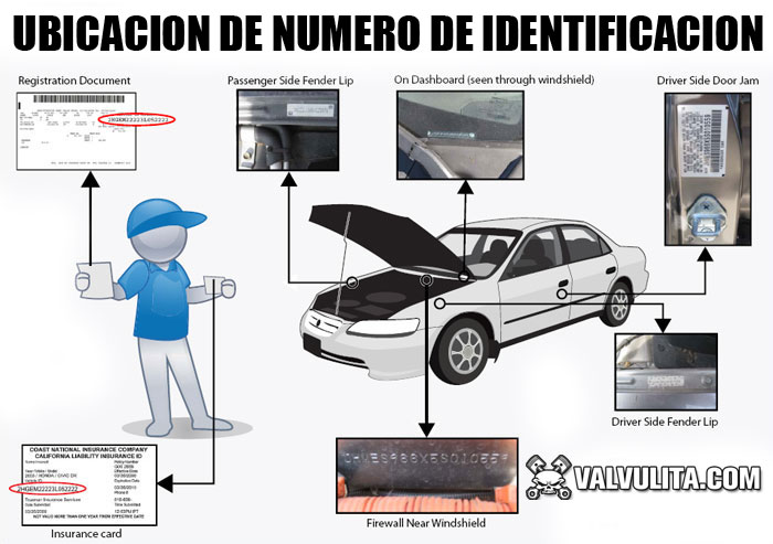 ubicacion del vin